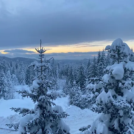 Npl Gorstak 3/13 Apartman Jahorina